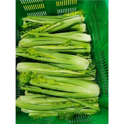 贏得兩地市場(chǎng)的信賴(lài)——橋頭鎮(zhèn)與常平鎮(zhèn)食材供應(yīng)到底該選誰(shuí)？